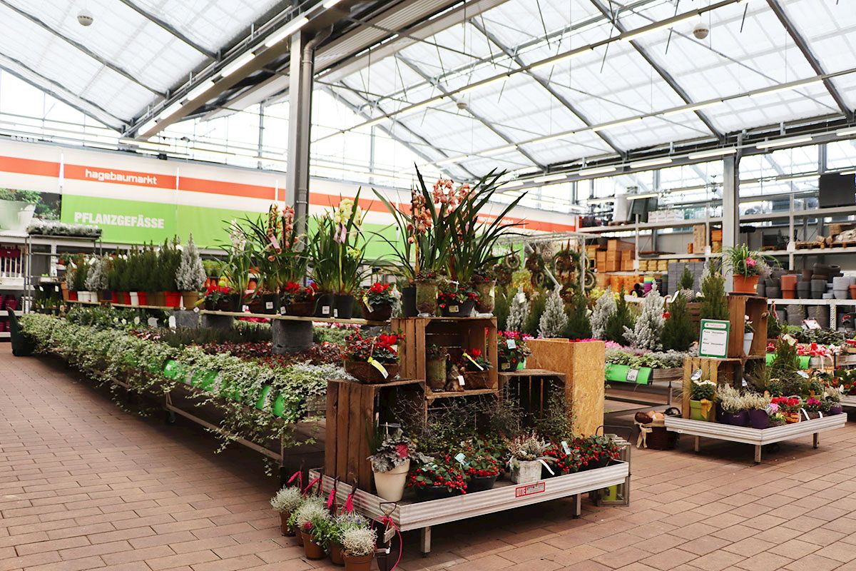 Home - Baumarkt Gartencenter Pflanzen Gartenmarkt Tuttlingen